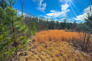 545 Edens Rd, Pickens, SC 29671 - Photo 19