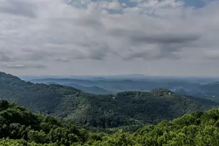 42 Wild Magnolia Way, Zirconia, NC 28790 - Photo 49