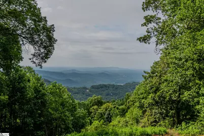 42 Wild Magnolia Way, Zirconia, NC 28790 - Photo 3