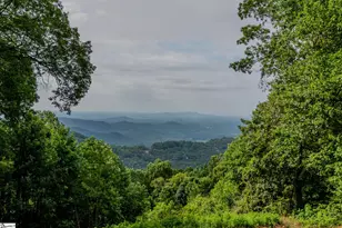 42 Wild Magnolia Way, Zirconia, NC 28790 - Photo 3
