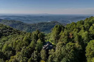 42 Wild Magnolia Way, Zirconia, NC 28790 - Photo 37