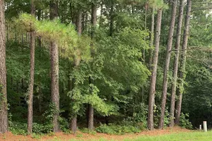 930 Eagles Harbor Dr, Hodges, SC 29653 - Photo 1