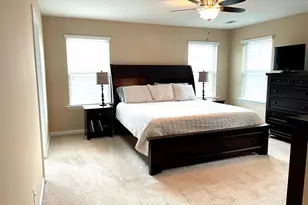 9 Nickel Springs Dr, Easley, SC 29642 - Photo 13