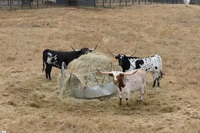 1425 S Harper Street, Laurens, SC 29360 - Photo 23