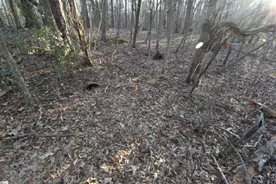 0 Pamela Lane, Laurens, SC 29360 - Photo 9