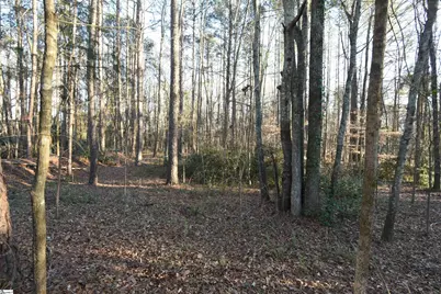 0 Pamela Lane, Laurens, SC 29360 - Photo 3
