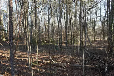 0 Pamela Lane, Laurens, SC 29360 - Photo 1