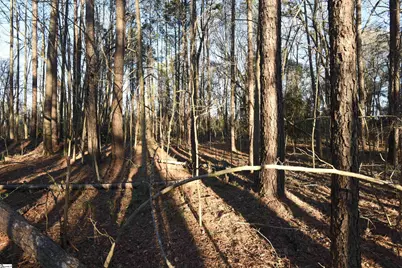 0 Pamela Lane, Laurens, SC 29360 - Photo 7