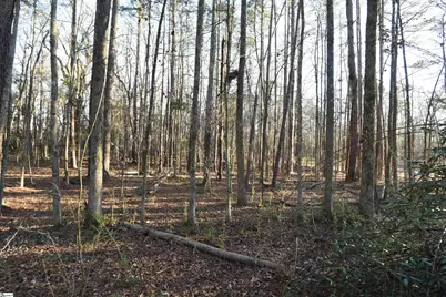 0 Pamela Lane, Laurens, SC 29360 - Photo 5
