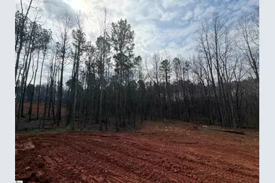 179 Susans Road, Gaffney, SC 29341 - Photo 27