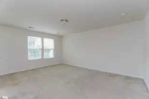 456 Christiane Way, Greenville, SC 29607 - Photo 17