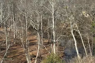 639 Creekway Ct, Greer, SC 29651 - Photo 25