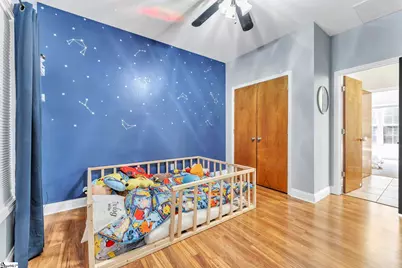 207 Devonhurst Drive, Seneca, SC 28678 - Photo 19