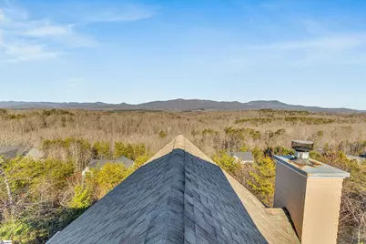 420 Packs Mountain Ridge Road, Taylors, SC 29687 - Photo 27