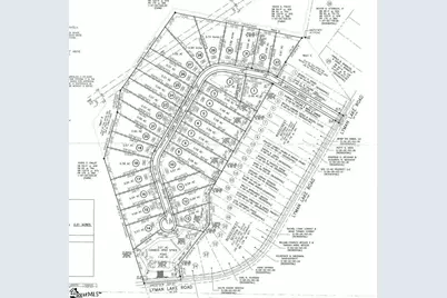 211 Artisan Drive #Lot 1, Lyman, SC 29365 - Photo 3