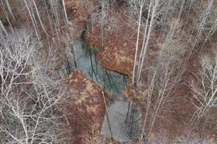 615 Generostee Church Rd, Starr, SC 29684 - Photo 17