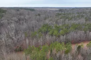 615 Generostee Church Rd, Starr, SC 29684 - Photo 13