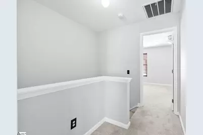 209 Summerston Place, Mauldin, SC 29662 - Photo 23