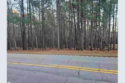 0 Hollands Landing Road, Prosperity, SC 29127 - Photo 3