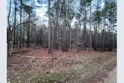 0 Hollands Landing Road, Prosperity, SC 29127 - Photo 7