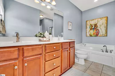 29 Hidden Springs Lane, Taylors, SC 29687 - Photo 17