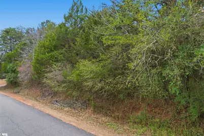 0 Hulon Howard Road, Landrum, SC 29356 - Photo 5