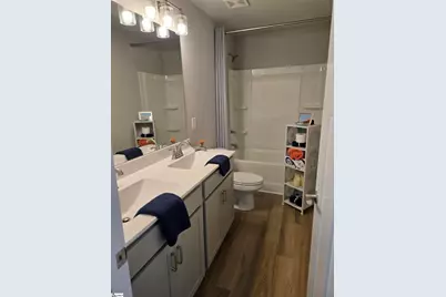 100 Alyssa Landing Drive, Fountain Inn, SC 29644 - Photo 29