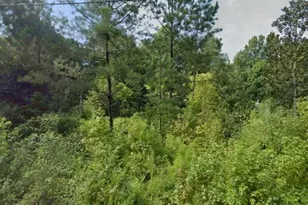 221 Helen St, Clinton, SC 29325 - Photo 1