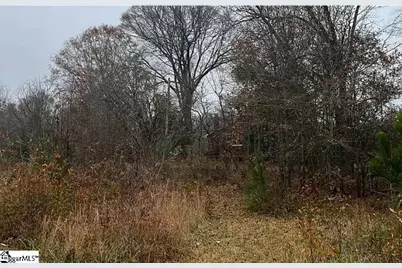 00 Blakely Avenue, Laurens, SC 29360 - Photo 7