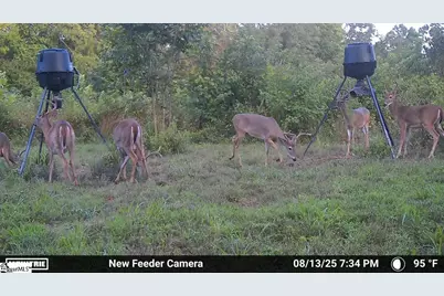 780 Oak Hill Lane, Belton, SC 29627 - Photo 37