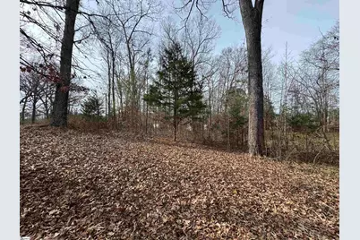 148 Douglas Road, Waterloo, SC 29384 - Photo 7