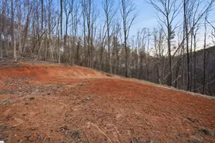 Lot 13 Hideaway Hill Way, Landrum, SC 29356 - Photo 3