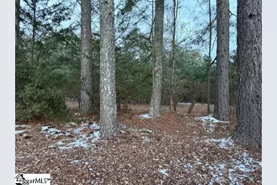 6122 Locust Hill Road, Travelers Rest, SC 29690 - Photo 29