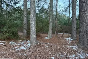 6122 Locust Hill Rd, Travelers Rest, SC 29690 - Photo 29