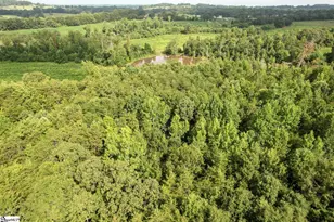 921 Benchmark Dr, Wellford, SC 29385 - Photo 41