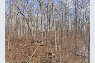 35 Forest Drive, Travelers Rest, SC 29690 - Photo 7