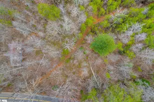 0000028A Tubbs Mountain Rd, Travelers Rest, SC 29690 - Photo 13