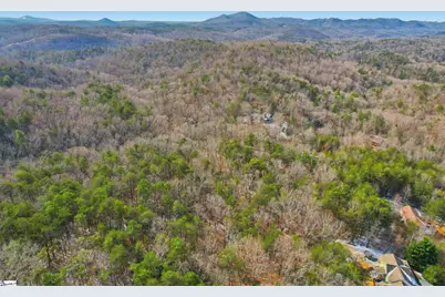 113 Aartun Alley, Pickens, SC 29671 - Photo 33