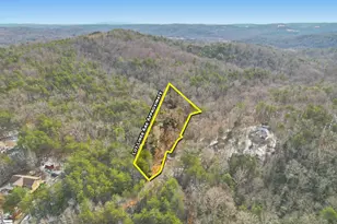 113 Aartun Alley, Pickens, SC 29671 - Photo 37