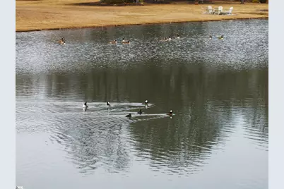 430 Winesap Road, Duncan, SC 29334 - Photo 41