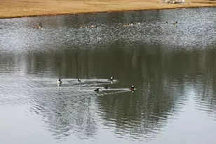 430 Winesap Rd, Duncan, SC 29334 - Photo 41