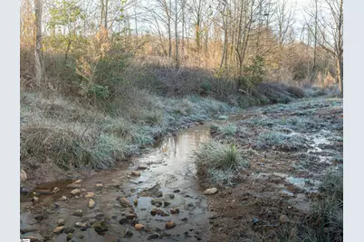 501A Cherokee Road, Pelzer, SC 29669 - Photo 13