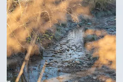 501A Cherokee Road, Pelzer, SC 29669 - Photo 3