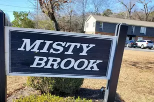 713 E Curtis St, Simpsonville, SC 29681 - Photo 11