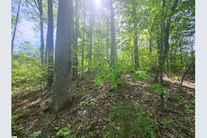 121 Laurel Valley Way, Travelers Rest, SC 29690 - Photo 7