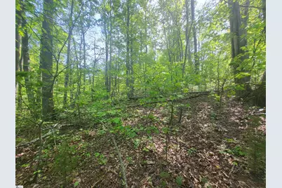 121 Laurel Valley Way, Travelers Rest, SC 29690 - Photo 5