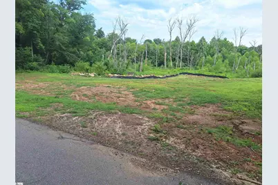 224 Enoree Circle, Greer, SC 29650 - Photo 3