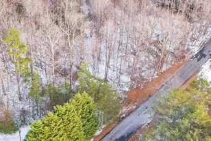 101 Jason Rd, Landrum, SC 29356 - Photo 1