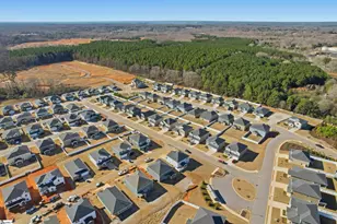 813 Elgon Walk Dr, Fountain Inn, SC 29644 - Photo 35