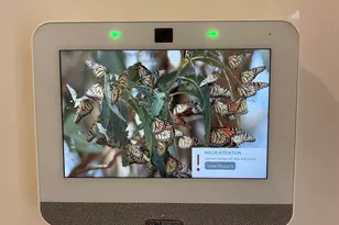 8 Gateway Dr, Central, SC 29630 - Photo 3